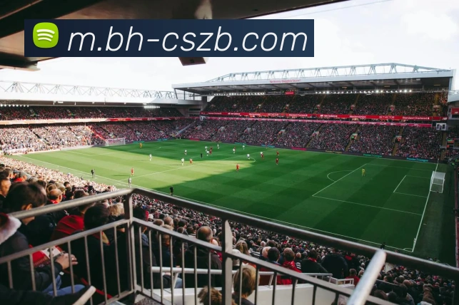 彩神争霸APP 封面图